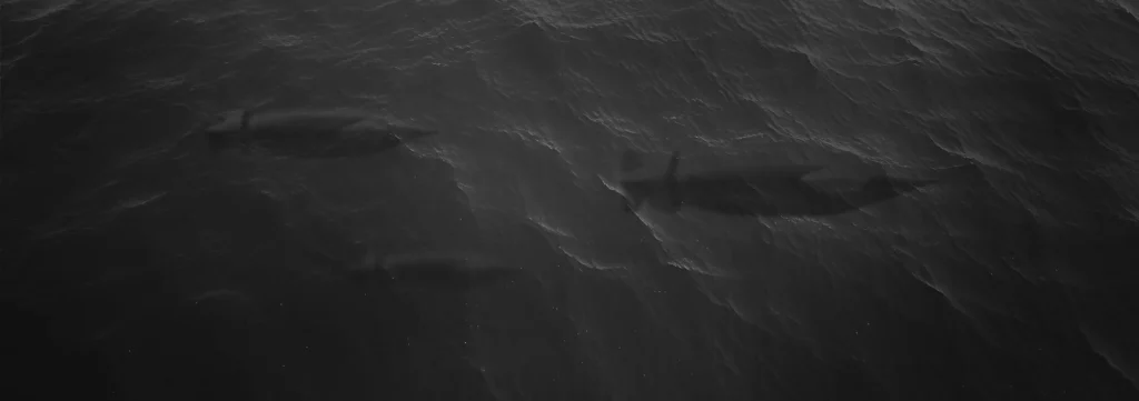 Gs stealth birdseye visual b2000px.webp