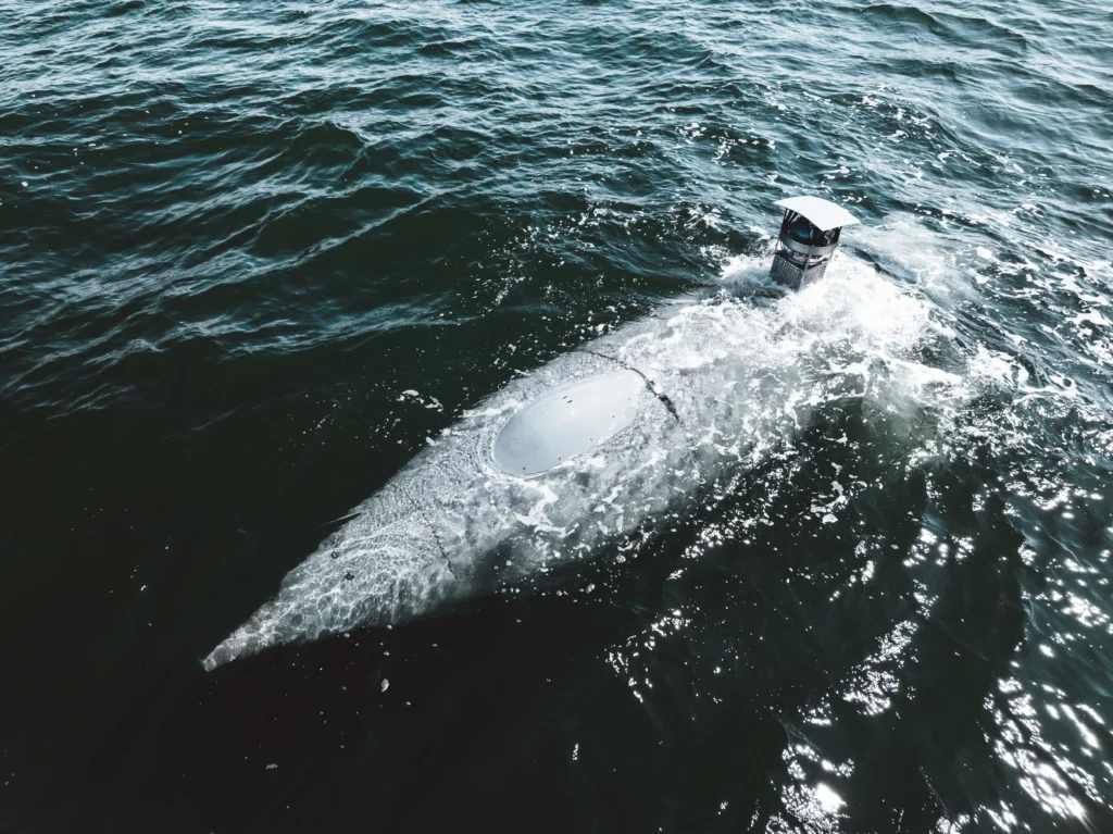 Grayshark Rostock 68[64].jpg