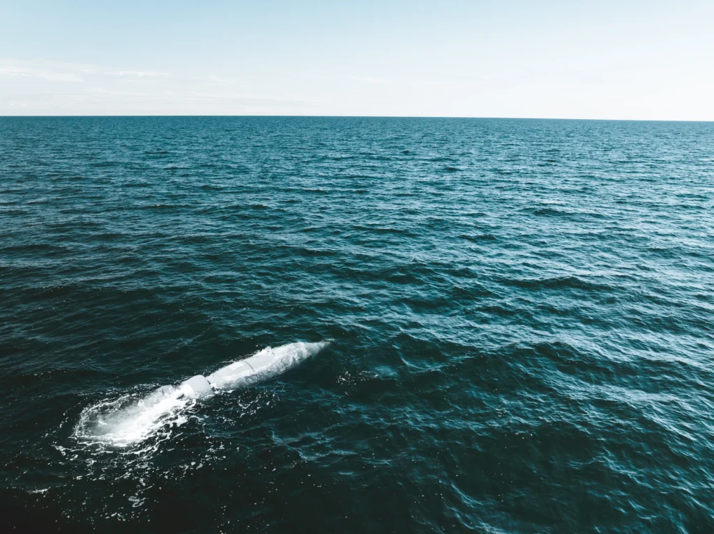 Grayshark Rostock 71[13].jpg